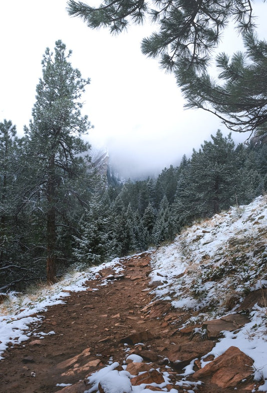 NCAR Trail In Winter